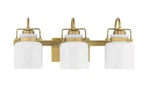 Progress Lighting Fessler Collection 3-LIGHT Vintage Brass Opal Glass Lights. Fixed Price $126.79.