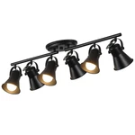 Keesfu 6-LIGHT Track Lighting Kitblack Semi Flush Mount Ceiling. Fixed Price $157.75.