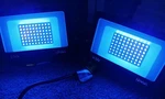 Onforu 2 Pack 30W Led Lights, Flood With Plug, IP66 Water. Fixed Price $29.99.