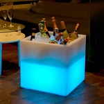 Led Light Color Changing Ice Bucket - Glowing Wine/beer Bottle Cooler Wireless. Fixed Price $119.95.