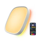 Govee Smart Ceiling Light, Rgbic Led Square Fixture W... Fast Ship. Fixed Price $90.10.