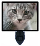Cat Decorative Photo Night Light, Mr. Whiskers. Fixed Price $26.99.