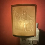 The Porcelain Garden Lithophane Night Light Curved Horses Noises New. Fixed Price $29.99.