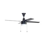 Used Litex UBW48FB4L Wakefield Blade Ceiling Fan With Light KIT-19 Inches. Fixed Price $80.87.