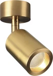 Aisilan 7W Adjustable Led Spotlight, Brushed Gold Accent Lamp For Art & Corridor. Fixed Price $99.99.