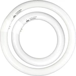 FC8T9/CW 22W And FC12T9/CW 32W Cool White Round Fluorescent Light Bulb Set .... Fixed Price $32.45.