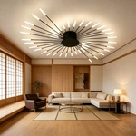 Luxury Firework Led Ceiling 42 Lights Black Plug-in Lamp Indoor Home Decor. Fixed Price $141.39.