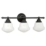Huntley 3-LIGHT Bathroom Farmhouse Style 10 Inches Tall And 24. Fixed Price $188.99.
