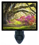 Landscape Decorative Photo Night Light, Summer Park, Trees. Fixed Price $23.49.