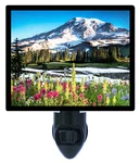Mountains Decorative Photo Night Light, Paradise Ridge, Flowers. Fixed Price $26.99.
