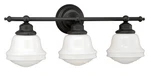 Vaxcel Lighting W0170 Bronze Huntley 3-LIGHT Vanity. Fixed Price $188.99.
