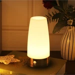 Wralwayslx Retro Night Light For Home,small Lamp With Wireless Pir Led.... Fixed Price $10.00.