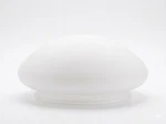 Westinghouse 85613 7-1/2-INCH White Glass Mushroom Ceiling Shade. Fixed Price $24.95.