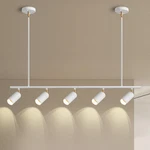 Yongming Cl 5-LIGHT Led Track Lighting Kit White Flexibly Rotatable. Fixed Price $196.67.