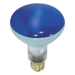 Blue Reflector Bulb 75W Watt BR30 Medium E26 Base Dimmable 120V. Fixed Price $7.19.