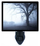 Decorative Photo Night Light, Forgotten Dream, Foggy Landscape. Fixed Price $26.99.
