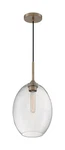 Nuvo 60-7017 Aria 9.63" Light Clear Glass Pendant Burnished Brass Finish. Fixed Price $111.99.