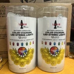 Lava Battery-operated Pineapple String Color Changing Led Lights. Fixed Price $24.99.