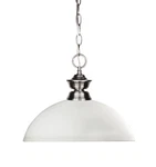 Z-lite 100701-DMO14 Shark Light Pendant Nickel. Fixed Price $125.80.