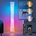 World Win Floor Lamp, 61'' Smart Inch, Rgb Color And 3 Temperatures. Fixed Price $71.17.