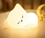 Soft Silicone Cat Led Night Light 7 Color Usb Rechargeable Kids Baby Lamp Decor. Fixed Price $28.99.