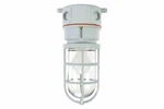 Larson Class 1, Division 2 Chemical Resistant Incandescent Light - 100 Watts. Fixed Price $129.95.