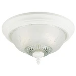 Westinghouse 66162 White 2-LIGHT Ceiling 7 X 13.39 13.25 D In.. Fixed Price $38.76.