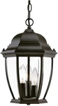 Acclaim 5036BK Wexford 3-LIGHT Outdoor Hanging Lantern Matte Black. Fixed Price $146.99.