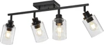 Modern 4-LIGHT Kitchen Track Lighting With Rotatable Heads & Glass Shades. Fixed Price $164.99.
