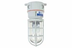 Larson Colored Led Light 7 Watts Non-metallic Corrosion Resistant. Fixed Price $240.50.
