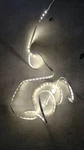 Intertek Led Strip Lights. Fixed Price $9.99.