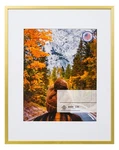 Aluminum Metal Picture With Mat - Wall Display Poster Photo Frames. Fixed Price $39.99.
