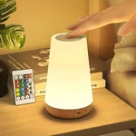 Led Touch Bedside Table Lamp Rgb Color Changing Night Light Remote Dimmable Usb. Fixed Price $19.95.