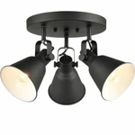 Multi-directional Ceiling Spot Light Semi Flush Mount Round Track. Fixed Price $49.99.