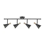 Globe Electric 59980 Aurora 4-LIGHT Track Lighting Matte Black Brass Accents. Fixed Price $179.30.