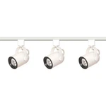 3 Light Track Kit Rdback Ln.volt.white. Fixed Price $103.99.