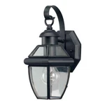 Forte Lighting Brass Outdoor Wall Lantern Black 1101-01-04. Fixed Price $66.96.