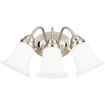 Westinghouse Lighting 6649700 Three-light Interior Wall Fixture, Brushed Nickel. Fixed Price $58.83.