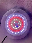 Lighthouse Hydro Blackstar 90HO Watt Uv Full Spectrum Led Grow. Fixed Price $79.79.