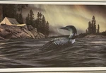 Night Lights By Ron Van Gilder - Framed Wild Wings Gallery/lake City, Mn.. Fixed Price $129.00.