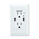 4.2A Dual Usb With Led Night Light, Tamper-resistant Wall Outlets Plates. Fixed Price $158.14.