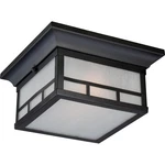 Nuvo Drexel 2 Light Outdoor Flush Mount W/ Frosted Glass, Stone Black 60-5606. Fixed Price $204.99.