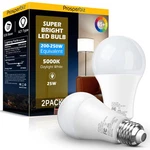 200-250 Watt Equivalent Led Light Bulb, A21 Super Bright Bulbs 25W,.... Fixed Price $29.24.