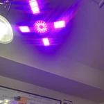 Shenzhen Small Orange AD-ZW602 Led Grow Light AC100-277V Hydroponics Indoor. Fixed Price $65.31.