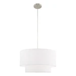 Livex Lighting Meridian 20" 1-LIGHT Metal Pendant Chandelier Brushed Nickel. Fixed Price $149.99.