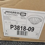 Progress Lighting Flush Mount Ceiling Fixture Brushed Nickel P3818-09. Fixed Price $30.68.