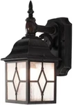 Lutec 1-LIGHT Bronze Motion Sensing Outdoor Wall Lantern Sconce, Seeded Glass. Fixed Price $59.99.