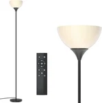 Floor Lp, Remote Control Color Temperatures, Torchiere. Fixed Price $39.99.