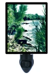 Tropical Decorative Photo Night Light, Cool Green Cooper Island, Bvi. Fixed Price $26.99.
