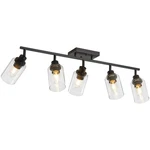 Lousace 5 Kitchen Track Fixtures Ceiling Vanity Lights Black, Bat.... Fixed Price $180.77.